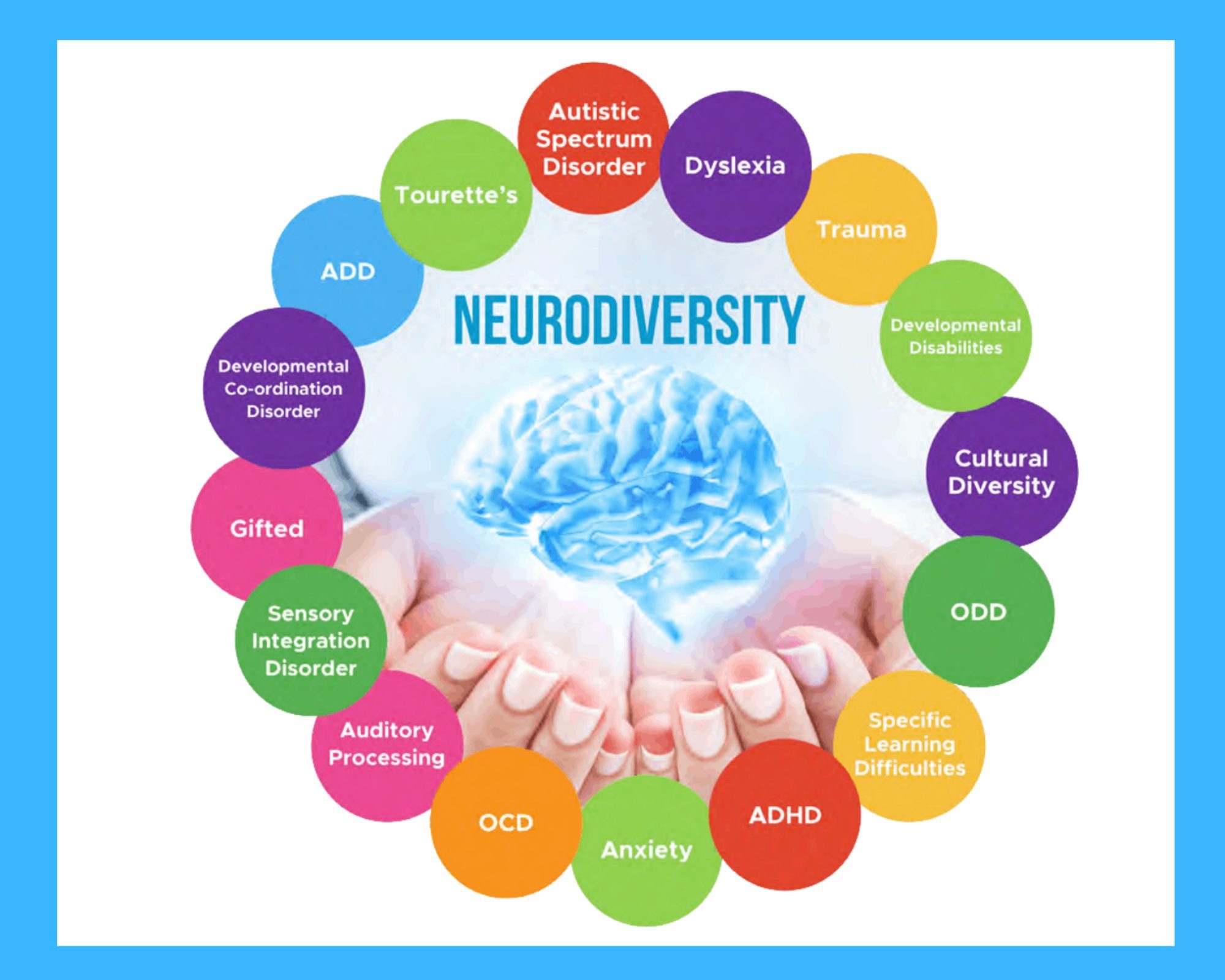 Neurodiversity image with open hands with brain inside hands all surrounded by a circle of definitions