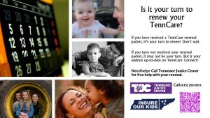 White background. To the left of the image are five photographs of children and their caregivers, as well as a calendar. Text to the right of the photographs reads, "Is it your turn to renew your TennCare." The Tennessee Justice Center logo is displayed under the text. Tennessee Justice Center's phone number is in black font "Call (615)255-0331."